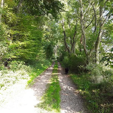 Appartement Poeoel Am Nationalpark Eifel *