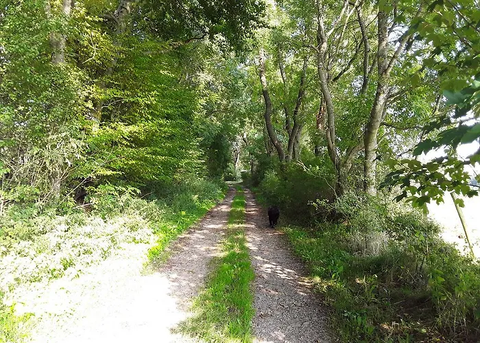 Lejlighed Poeoel Am Nationalpark Eifel *